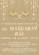 14. MAŠKARNÍ BÁL 1
